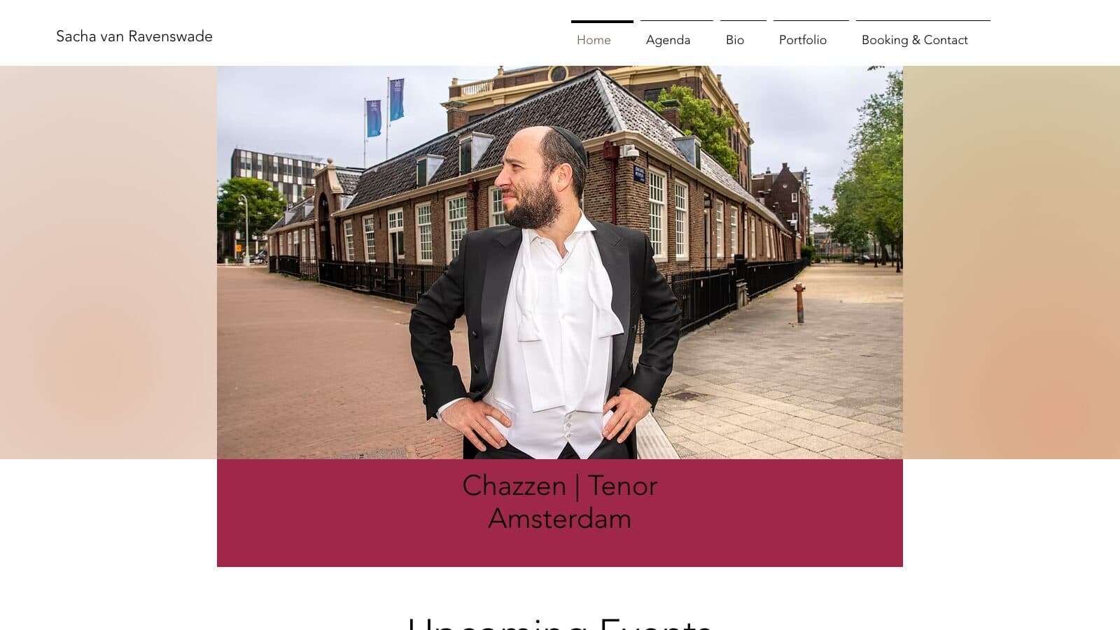Sacha van Ravenswade cover